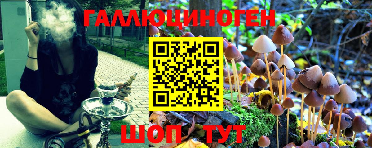 магазин    Псилоцибиновые грибы Psilocybine cubensis  Вход с VPN  Курган 