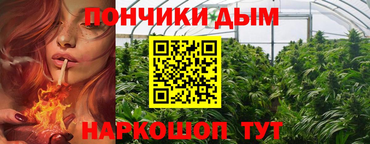 Бошки марихуана White Widow Курган